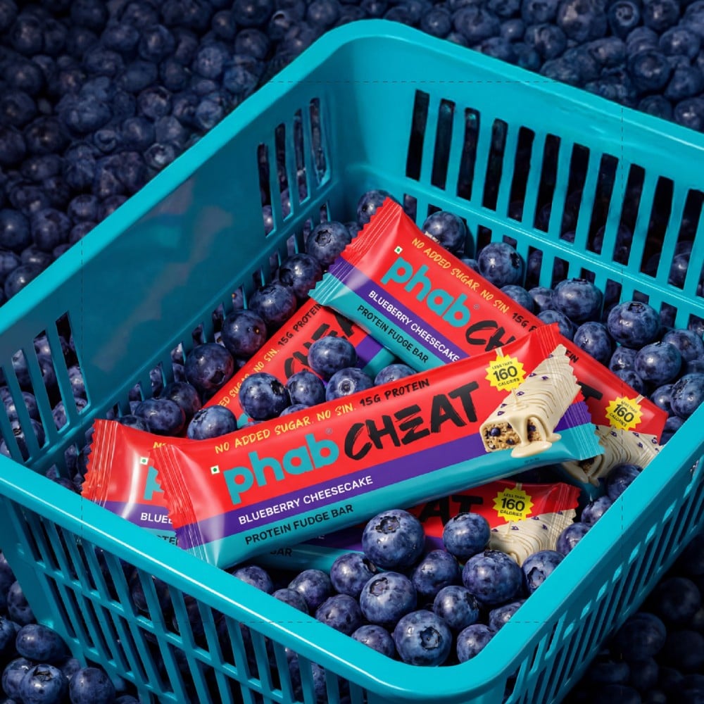 Phab Phab Blueberry Cheesecake Cheat Protein Bar